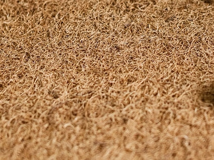 Кокосовая койра